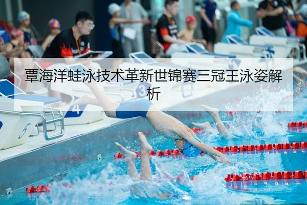 tan-hai-yang-wa-yong-ji-shu-ge-xin-shi-jin-sai-san-guan-wang-yong-zi-jie-xi-3-658.jpg