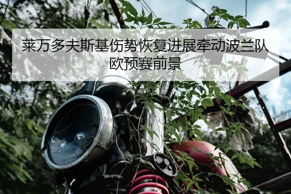 莱万多夫斯基伤势恢复进展牵动波兰队欧预赛前景