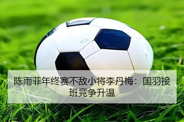 chen-yu-fei-nian-zhong-sai-bu-di-xiao-jiang-li-dan-mei-guo-yu-jie-ban-jing-zheng-sheng-wen-2-904.jpg